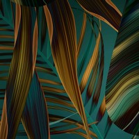 Portrait of a photographer (avatar) Саша (Sasha)