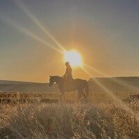 Portrait of a photographer (avatar) Анастасия Соболевская (Соболевская)