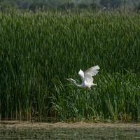 Portrait of a photographer (avatar) Ирина Сеимова (Irina Seimova)