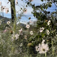Portrait of a photographer (avatar) Erika Osipova