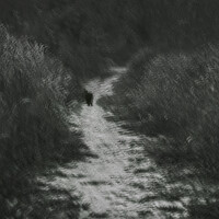 Portrait of a photographer (avatar) Моторина Арина (Arina Motorina)