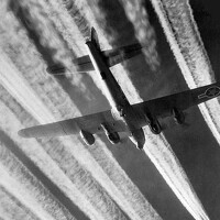 Portrait of a photographer (avatar) Kolton