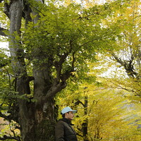 Portrait of a photographer (avatar) Hadi Hadipour