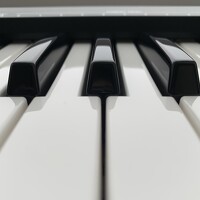 Portrait of a photographer (avatar) Atropa Belladonna