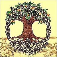 Portrait of a photographer (avatar) Bethluisnion