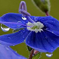 Portrait of a photographer (avatar) Jonas