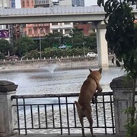 Portrait of a photographer (avatar) JetDo