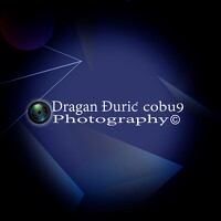 Portrait of a photographer (avatar) Dragan_Duric_cobu9