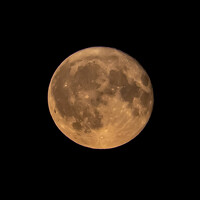 Portrait of a photographer (avatar) Alexey Birin