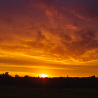 Portrait of a photographer (avatar) Zongord