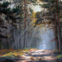 Photo Балакирев Андрей (Andrey Balakirev) Portrait of a photographer (avatar) Балакирев Андрей (Andrey Balakirev)