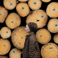 Portrait of a photographer (avatar) Natasha Bogomolova