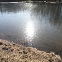 Portrait of a photographer (avatar)  Grigory Gez (Grigory Gez)