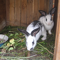 Portrait of a photographer (avatar) игорь