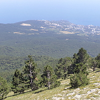 Portrait of a photographer (avatar) Лиза Помигалова (Liza Pomigalova)