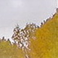 Portrait of a photographer (avatar) Вячеслав Рощин