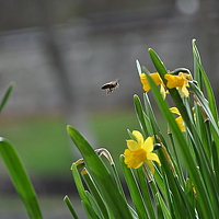 Portrait of a photographer (avatar) Елена Монченко
