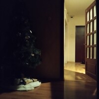 Portrait of a photographer (avatar) Антон Подгайский