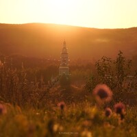 Portrait of a photographer (avatar) Борисов Владимир