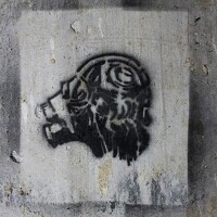 Portrait of a photographer (avatar) les Guy