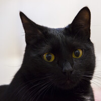 Portrait of a photographer (avatar) Sergei Kuznetsov