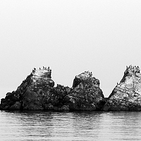 Portrait of a photographer (avatar) Irina