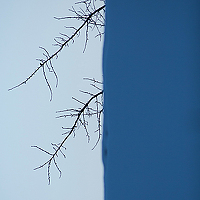 Portrait of a photographer (avatar) Александр