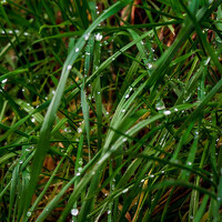 Portrait of a photographer (avatar) Iv Ivanova (Ivelina Ivanova)