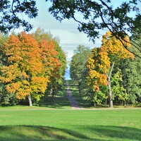 Portrait of a photographer (avatar) Pavel Cherkas