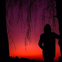 Portrait of a photographer (avatar) Родион (Ragozin)