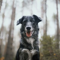 Portrait of a photographer (avatar) Дарья