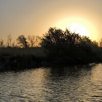 Portrait of a photographer (avatar) Е