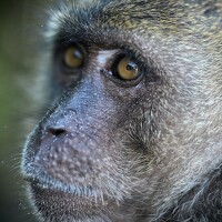Portrait of a photographer (avatar) dagmara ceranowicz