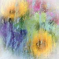 Portrait of a photographer (avatar) Han Bada (HAN CHUL DONG)