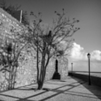 Portrait of a photographer (avatar) Victoria Zaporozhskaya