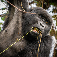 Portrait of a photographer (avatar) Xisco Ricart