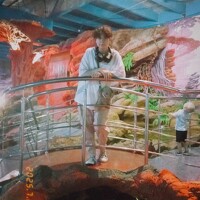 Portrait of a photographer (avatar) Савина Анастасия Николаевна