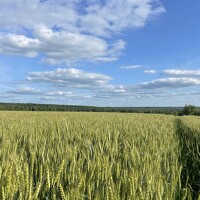 Portrait of a photographer (avatar) Serj Egorov