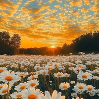 Portrait of a photographer (avatar) Дмитрий