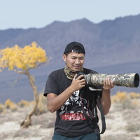 Portrait of a photographer (avatar) nairaa batmunh (Nankir batmunh)