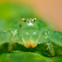 Portrait of a photographer (avatar) Doan Ri (Ri Doan)