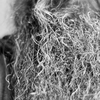 Portrait of a photographer (avatar) Parkinson Jeff (Jeff Parkinson)