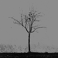 Portrait of a photographer (avatar) Тимофеевский Валерий