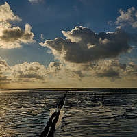 Portrait of a photographer (avatar) Toni Westerhof