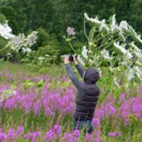 Portrait of a photographer (avatar) Курдюков Михаил