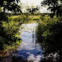 Portrait of a photographer (avatar) Валентина