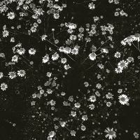 Portrait of a photographer (avatar) Natalia Burlutska