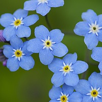 Portrait of a photographer (avatar) Юлия (Швец)