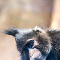 Portrait of a photographer (avatar) Egor