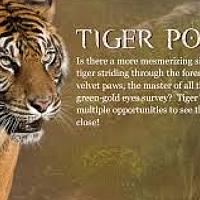 Portrait of a photographer (avatar) LodaPadilla